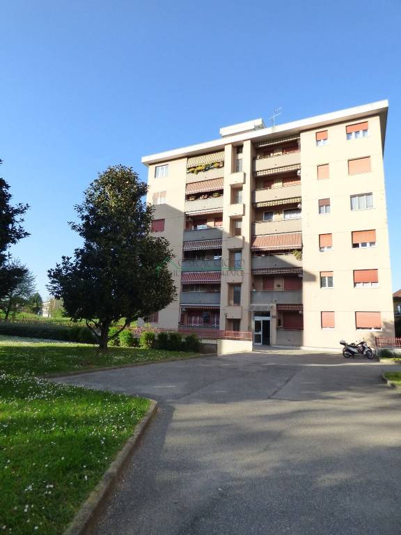 immagine annuncio 1 di 15