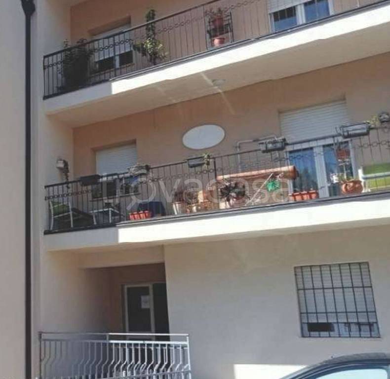 immagine annuncio 4 di 14