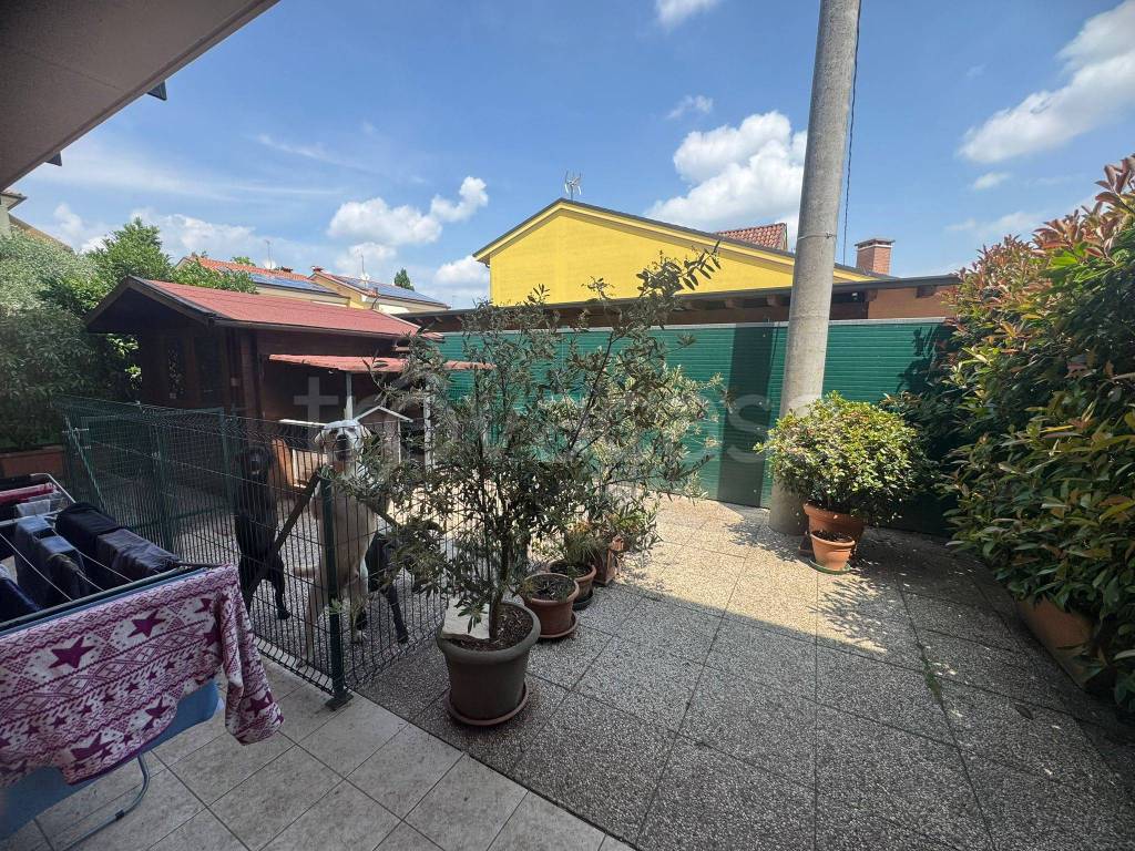 immagine annuncio 7 di 15
