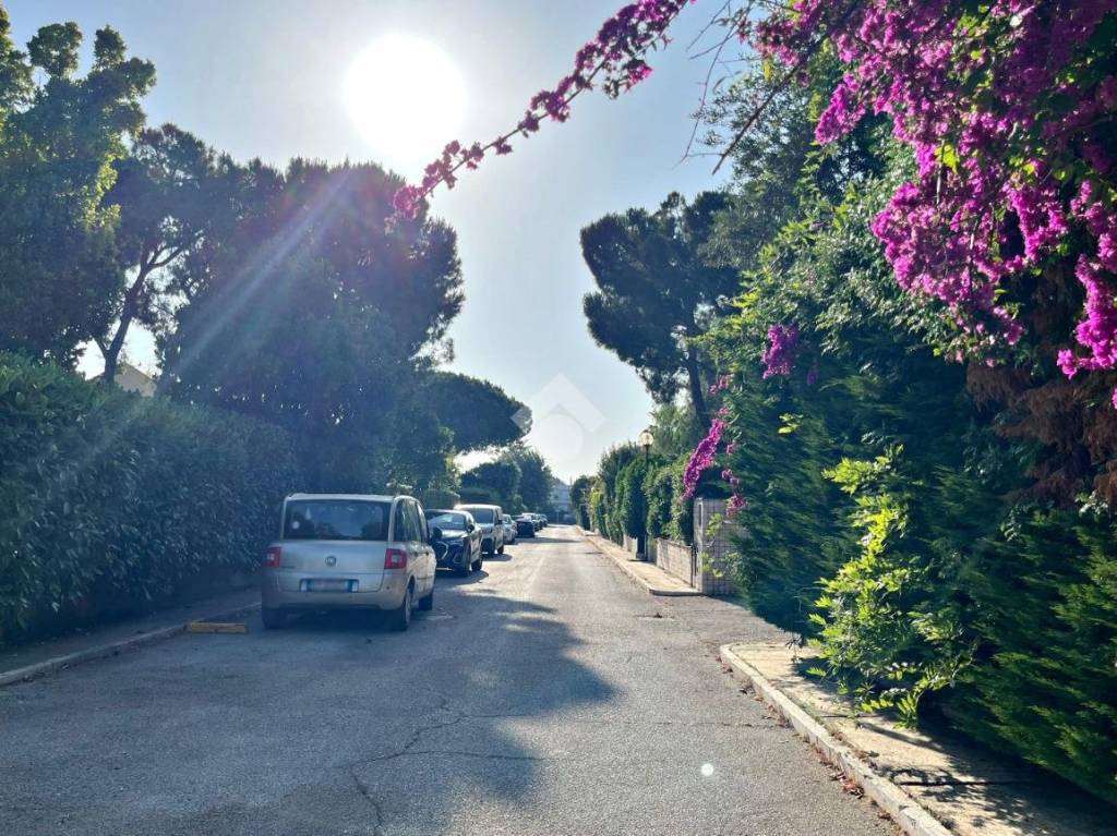 immagine annuncio 5 di 9