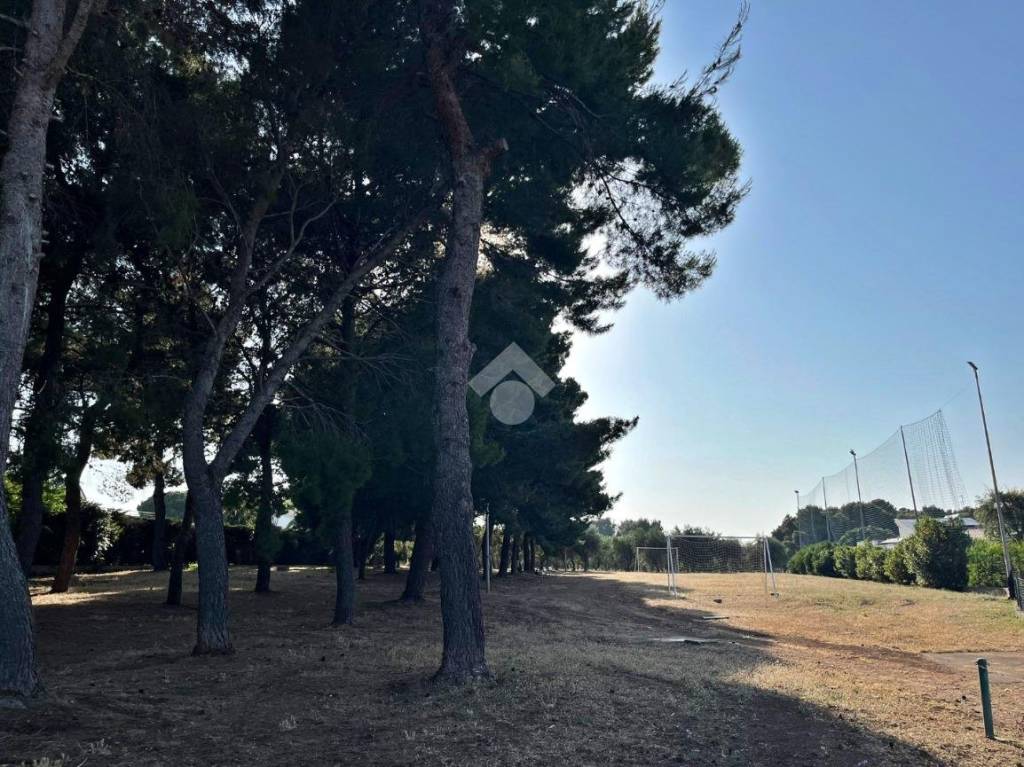 immagine annuncio 7 di 9
