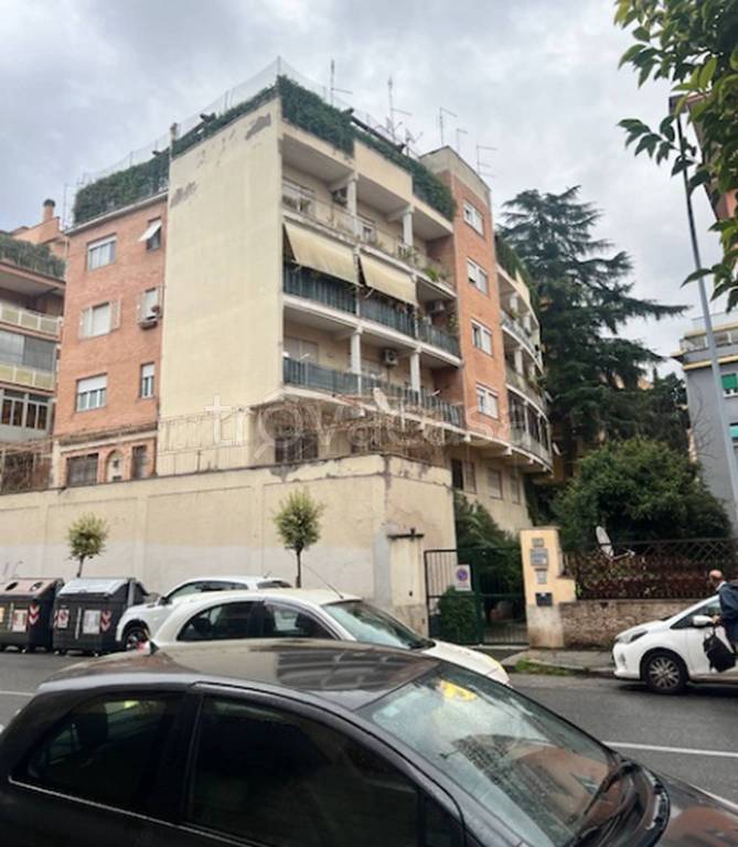 immagine annuncio 9 di 14
