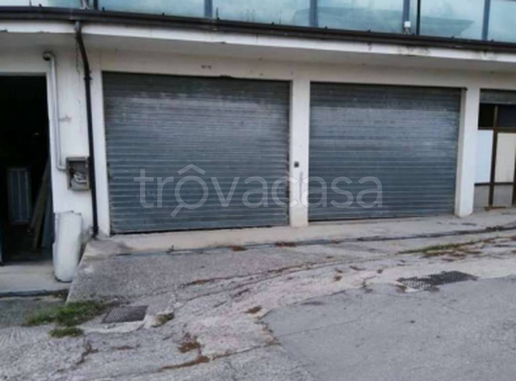 immagine annuncio 7 di 12