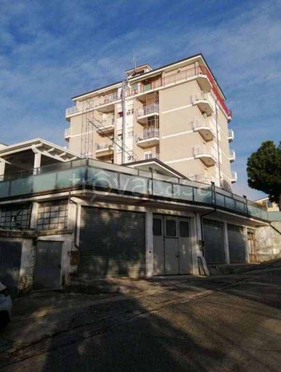 immagine annuncio 11 di 12