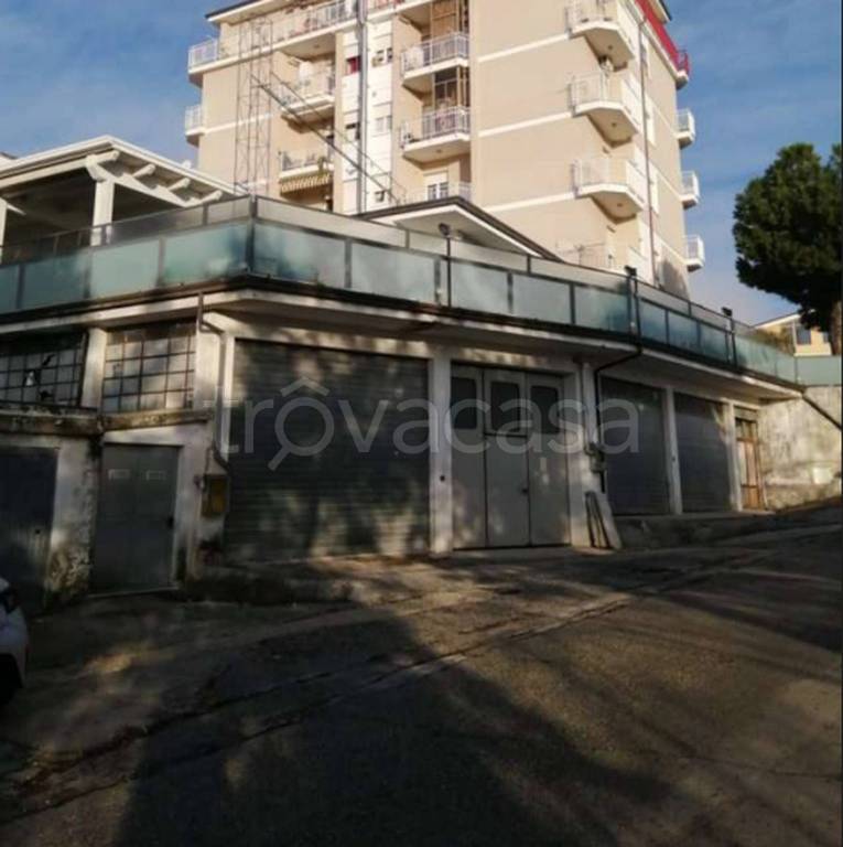 immagine annuncio 12 di 13