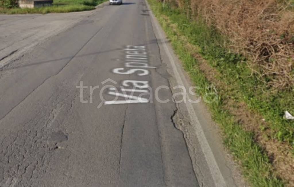 immagine annuncio 8 di 11