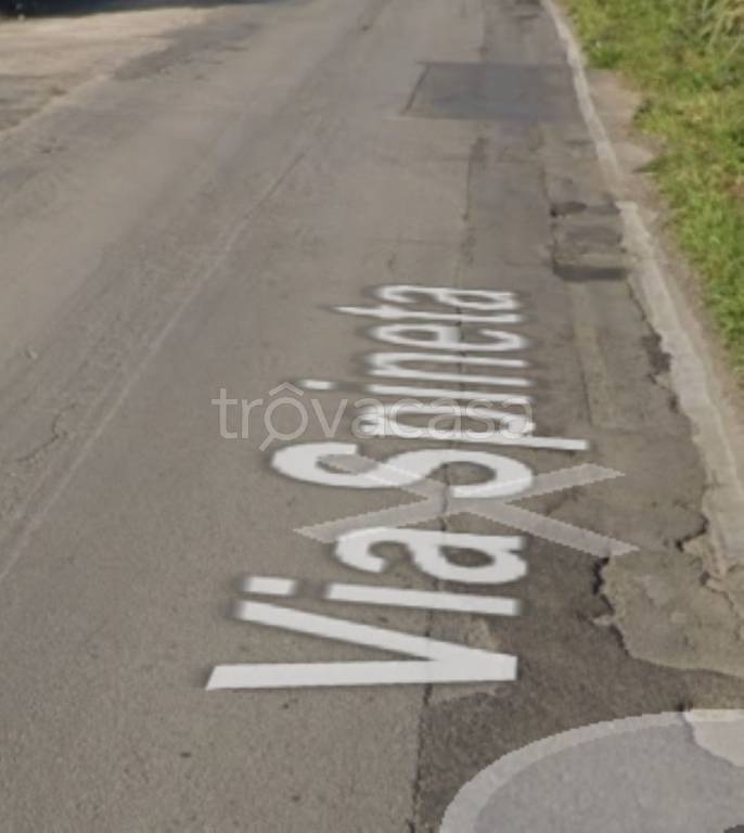 immagine annuncio 6 di 11