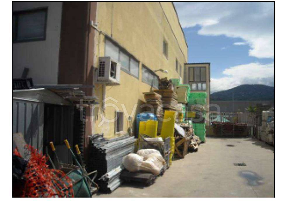 immagine annuncio 10 di 11