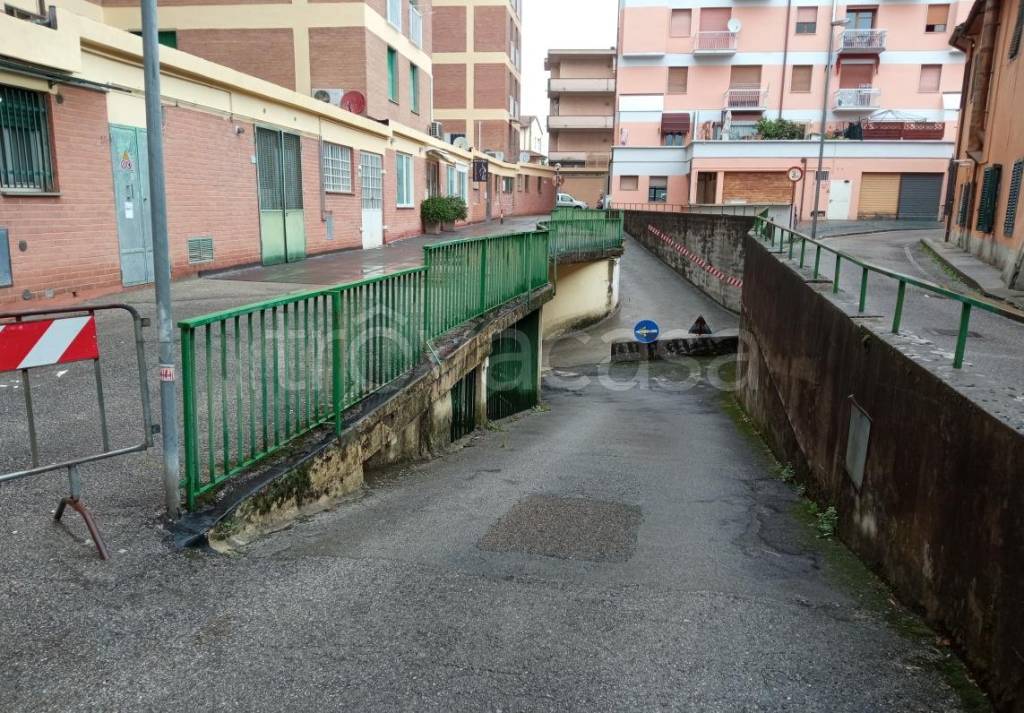 immagine annuncio 5 di 14