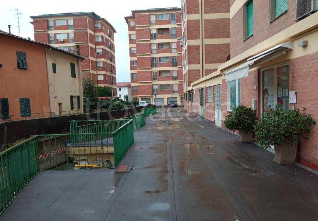 immagine annuncio 9 di 14