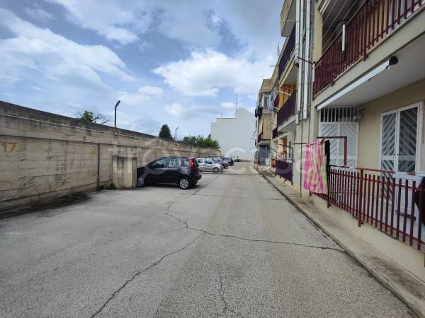 immagine annuncio 8 di 14