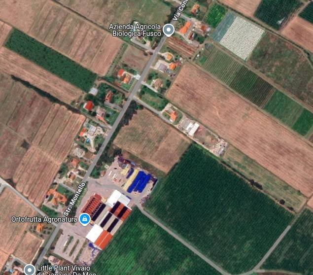 immagine annuncio 2 di 14