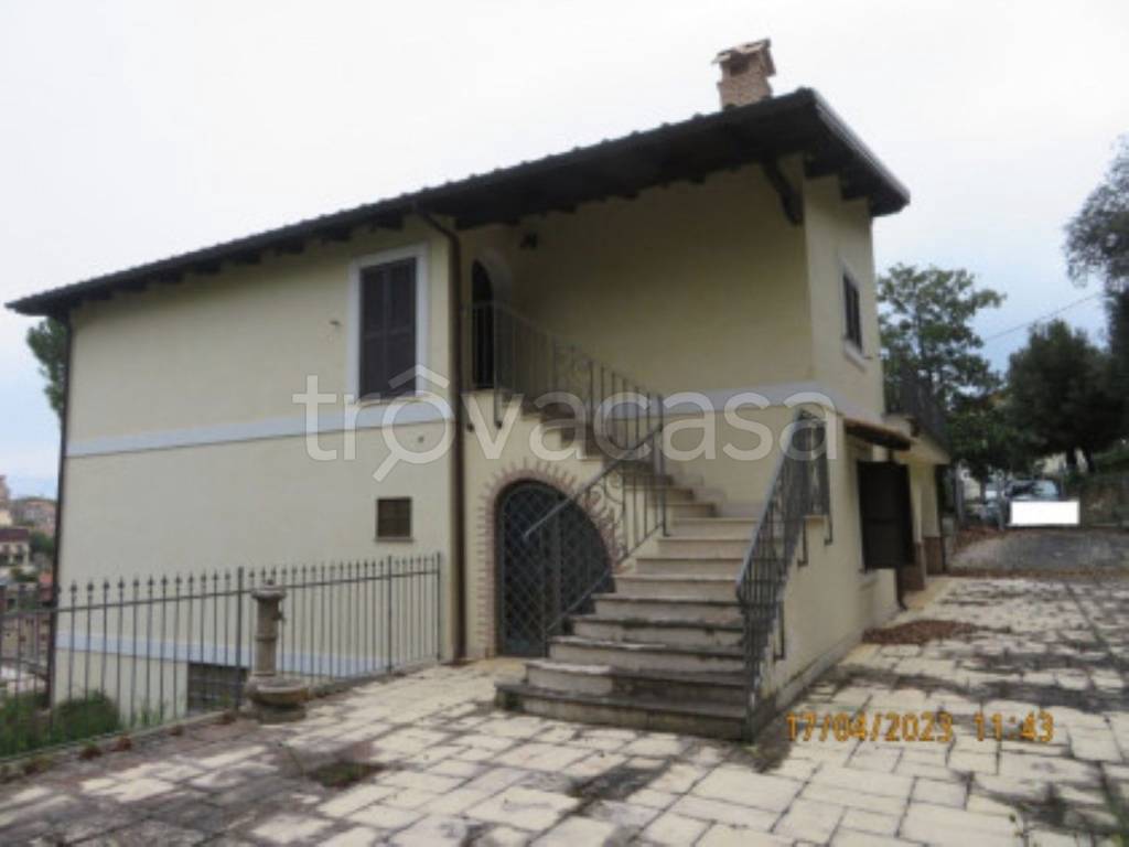 immagine annuncio 9 di 11