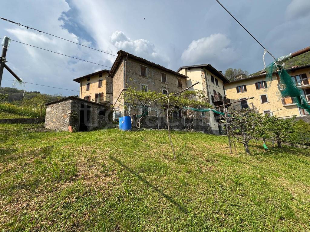 immagine annuncio 4 di 14