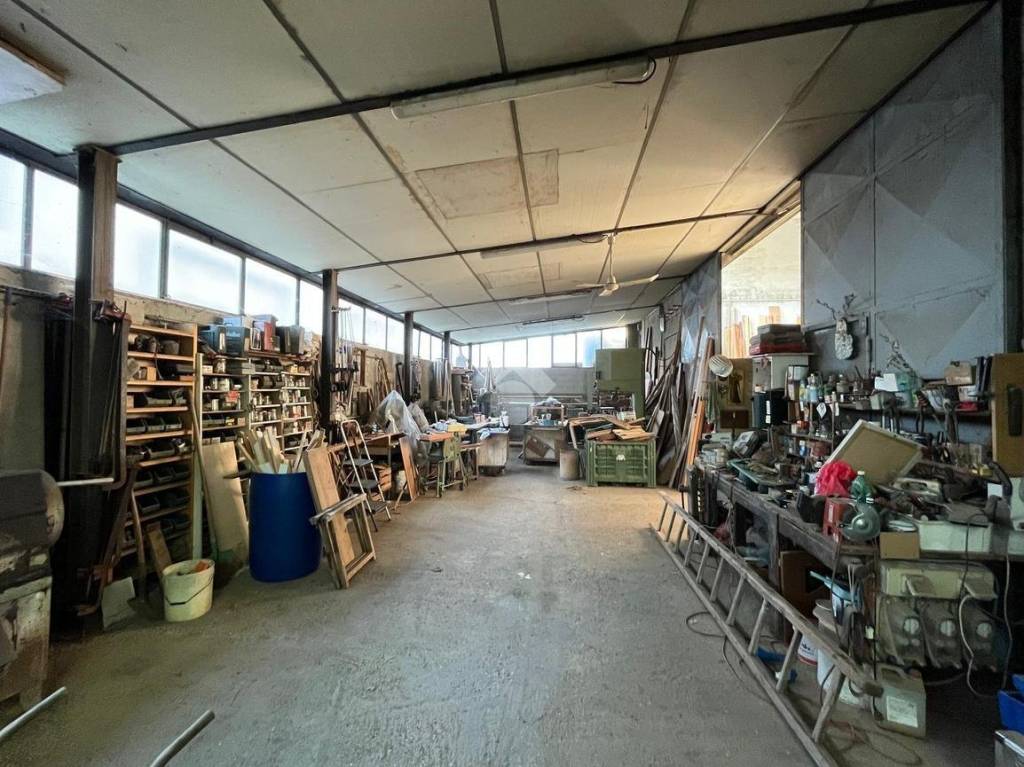 immagine annuncio 4 di 8