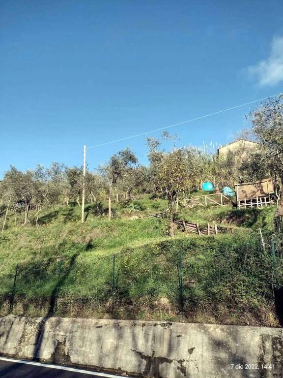 immagine annuncio 6 di 14