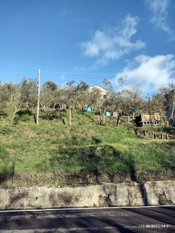immagine annuncio 7 di 14
