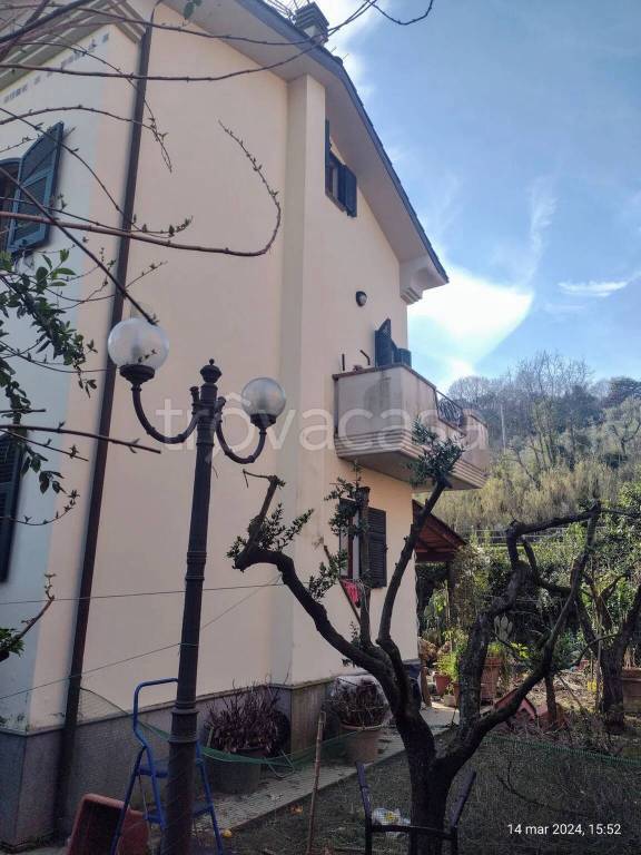 immagine annuncio 2 di 7