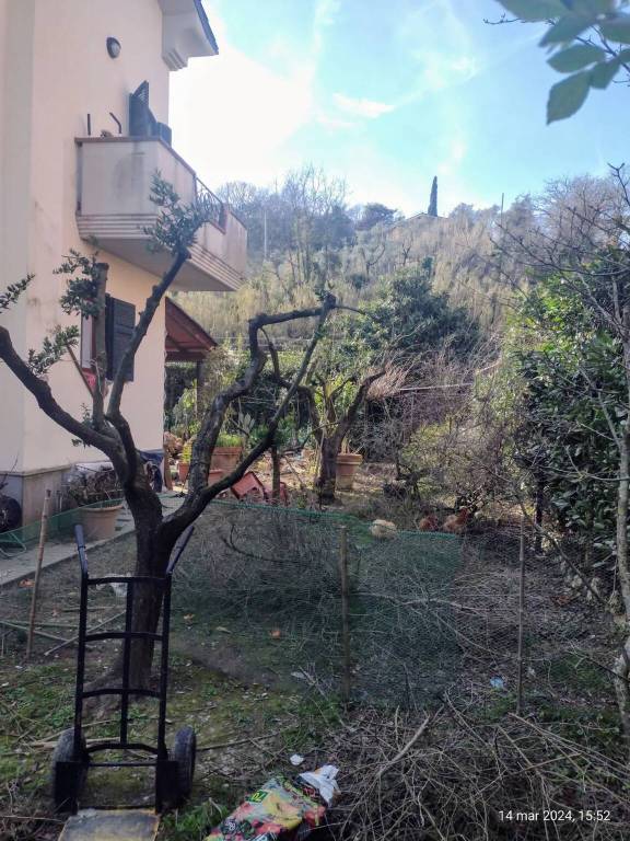 immagine annuncio 3 di 7