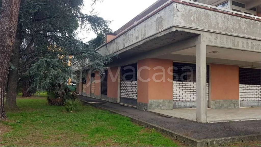 immagine annuncio 4 di 11