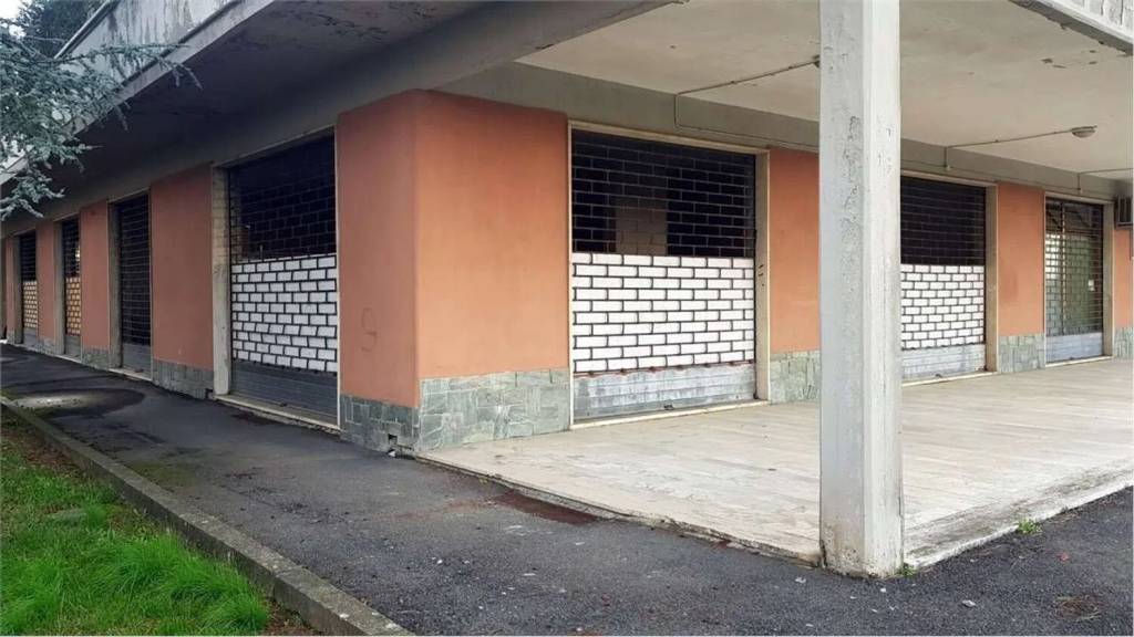 immagine annuncio 5 di 11