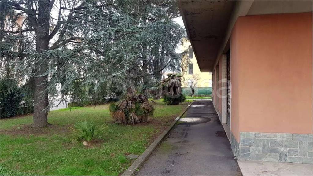 immagine annuncio 6 di 11