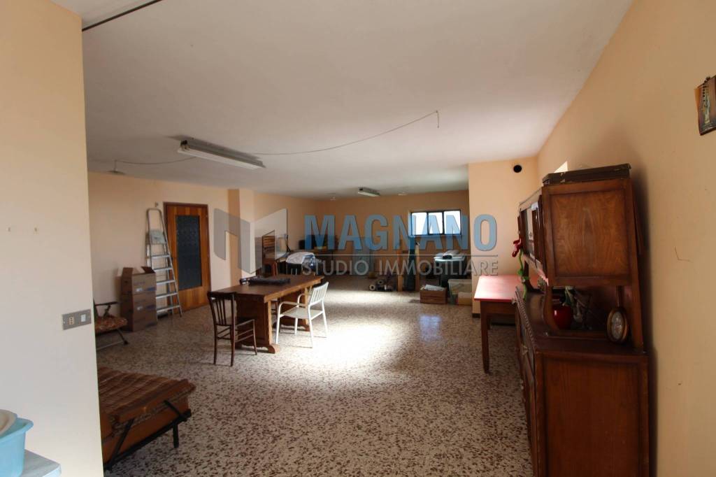 immagine annuncio 11 di 14