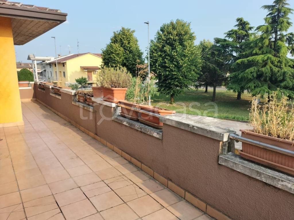 immagine annuncio 6 di 15