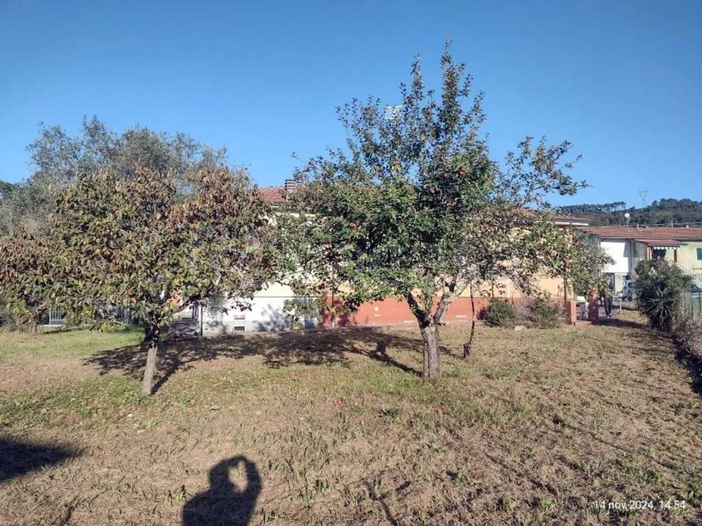 immagine annuncio 14 di 15