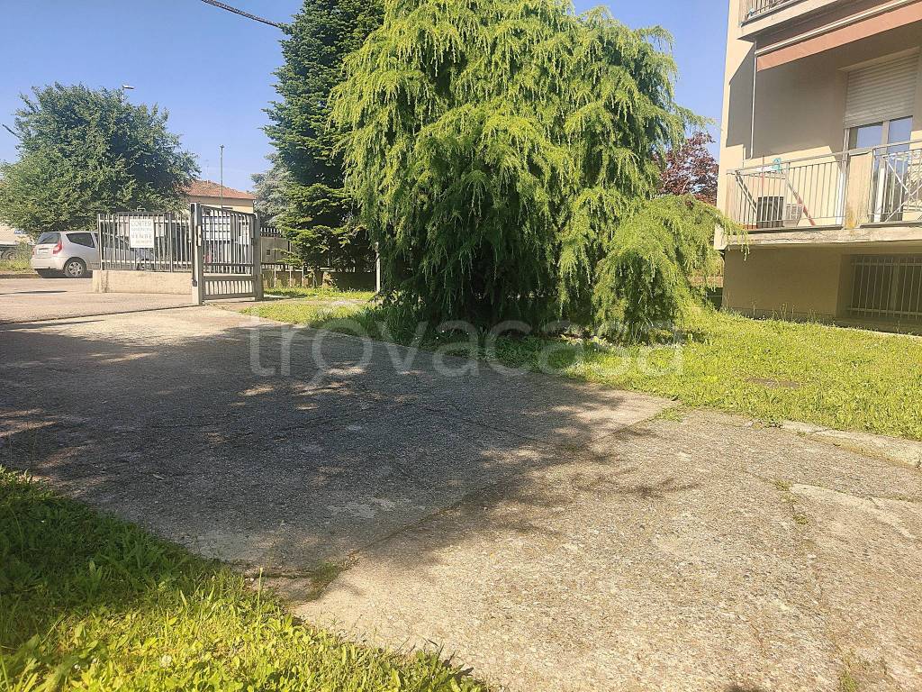 immagine annuncio 3 di 12