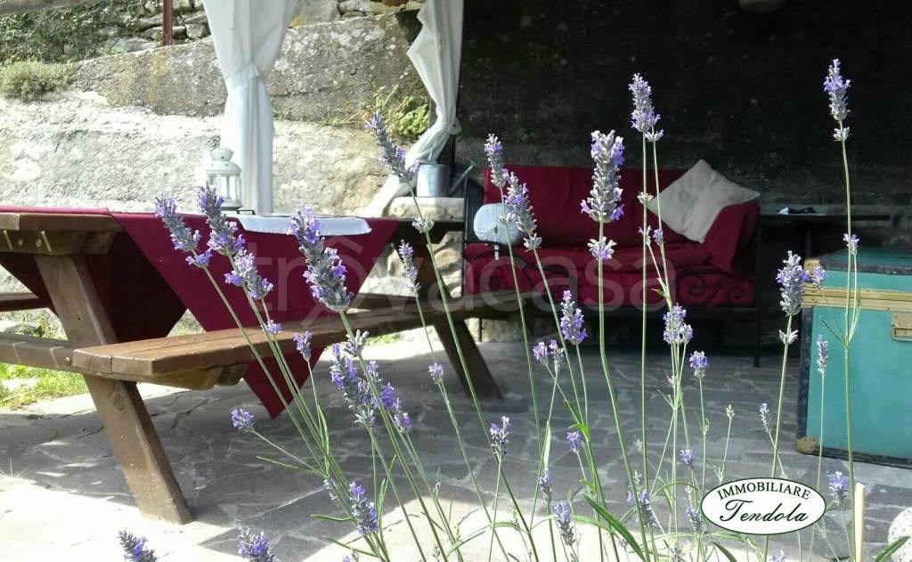 immagine annuncio 1 di 14