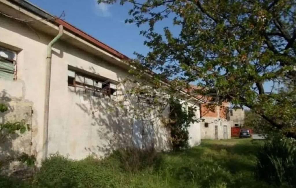 immagine annuncio 11 di 14