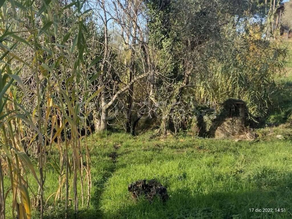 immagine annuncio 4 di 14