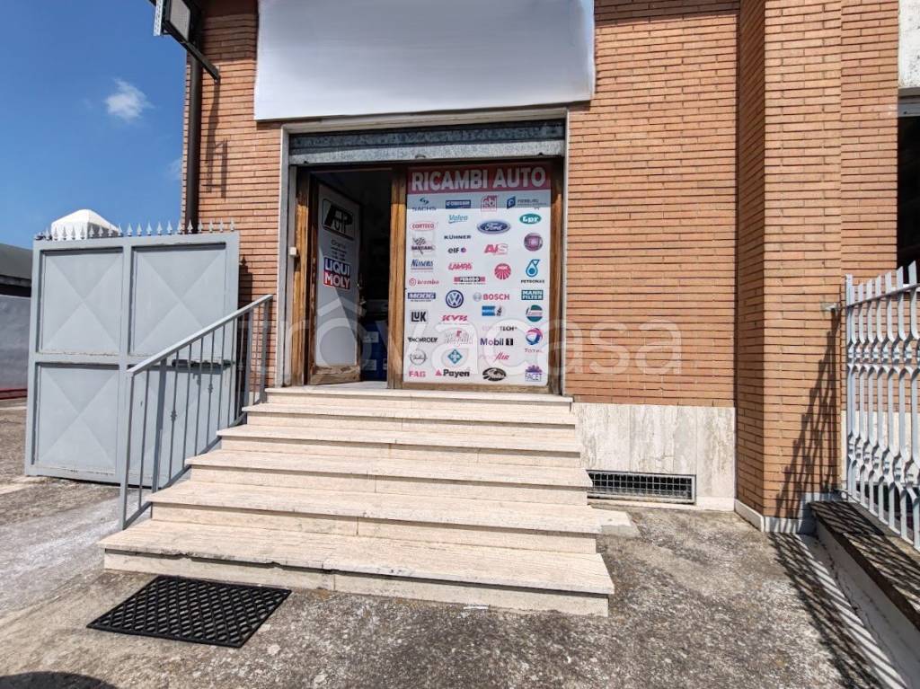 immagine annuncio 1 di 7