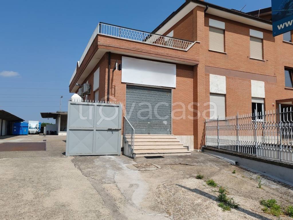 immagine annuncio 8 di 12