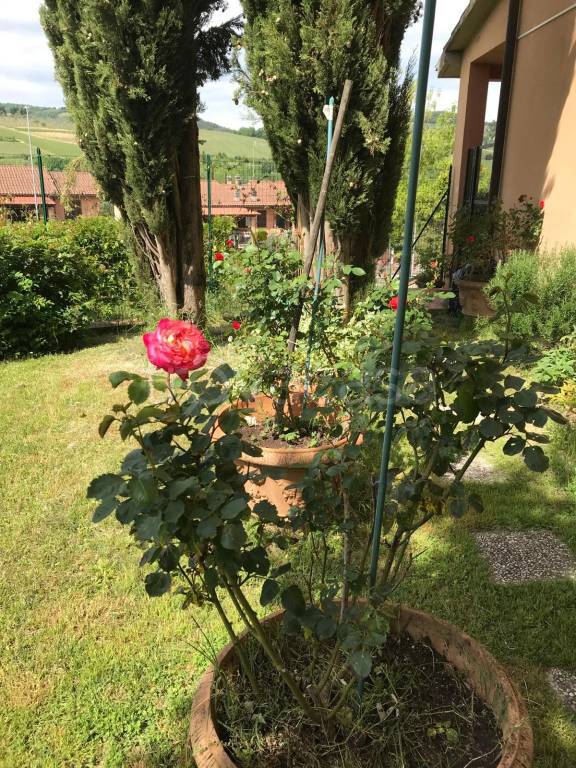 immagine annuncio 2 di 6