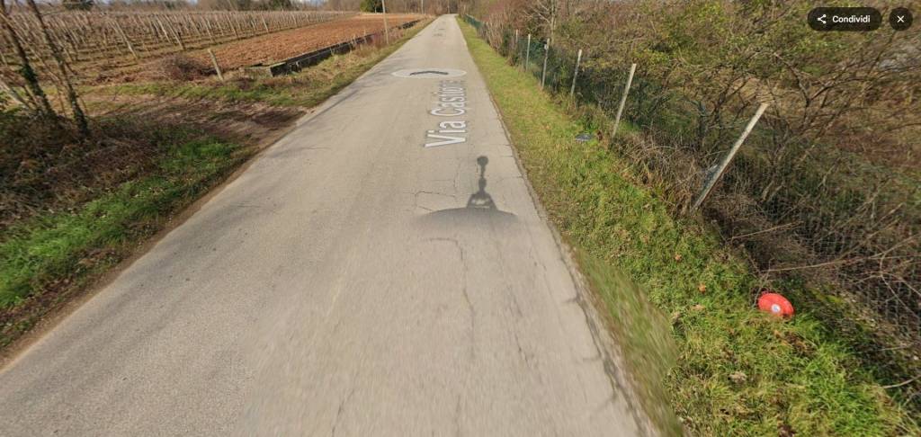 immagine annuncio 6 di 11