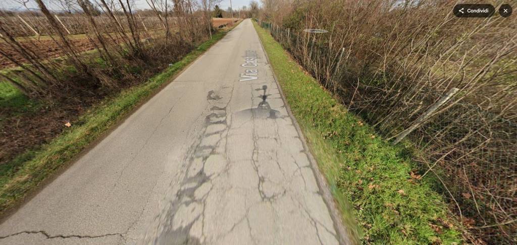 immagine annuncio 8 di 11