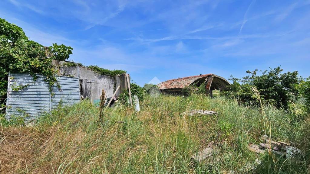 immagine annuncio 4 di 14