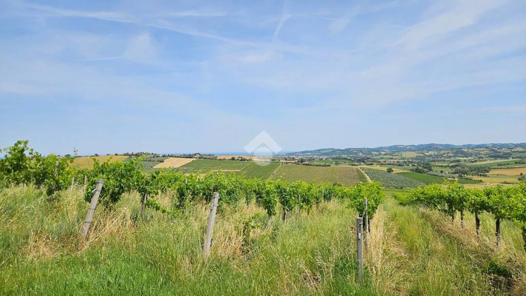 immagine annuncio 6 di 14