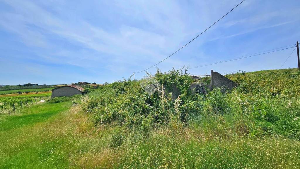 immagine annuncio 8 di 14