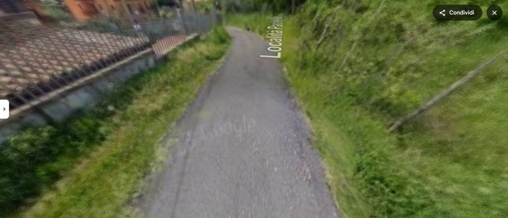 immagine annuncio 11 di 14