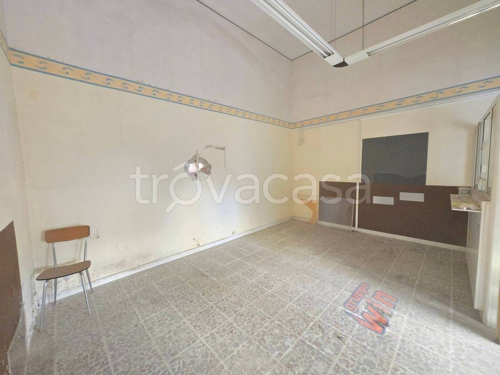 immagine annuncio 3 di 6