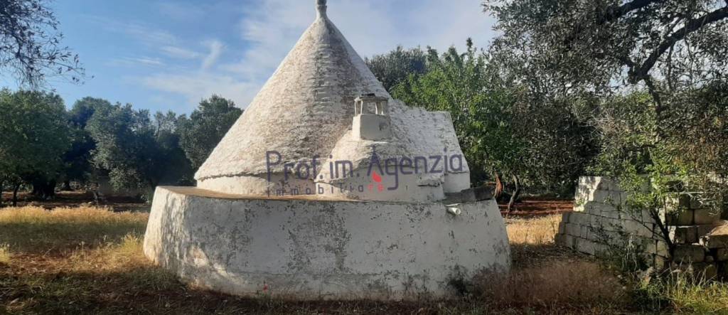 immagine annuncio 8 di 14