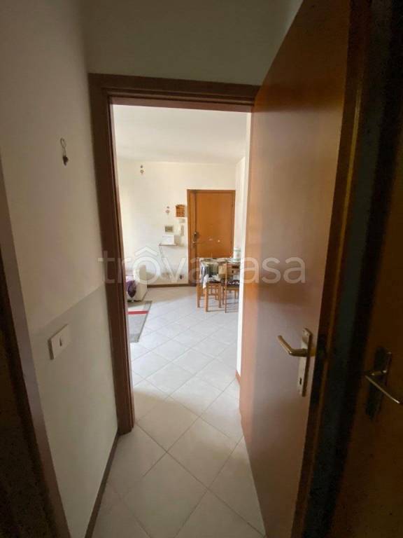 immagine annuncio 7 di 14