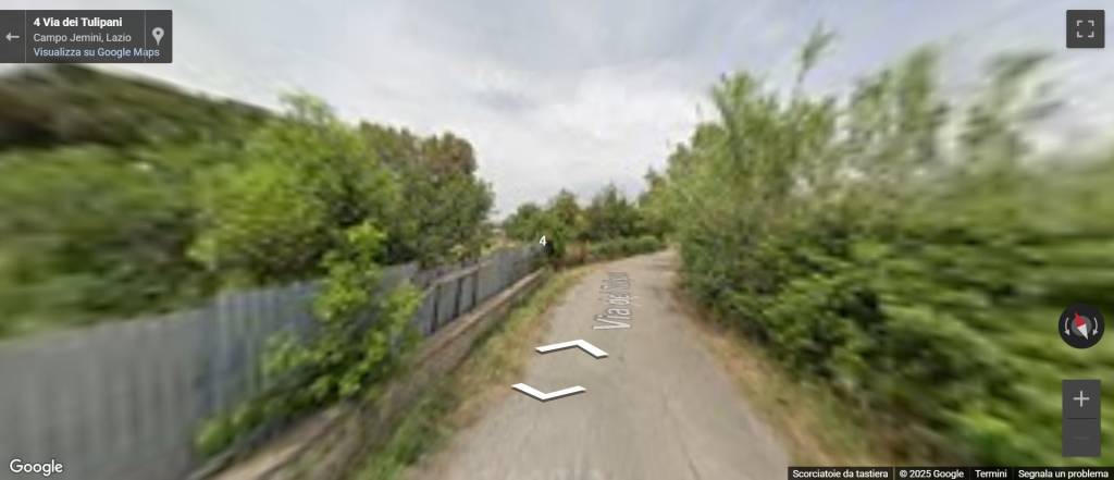 immagine annuncio 1 di 11