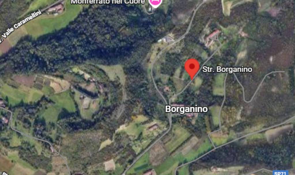 immagine annuncio 11 di 14