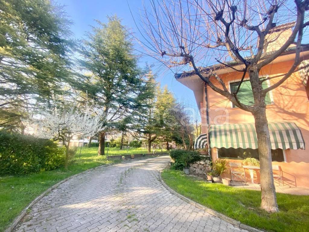 immagine annuncio 9 di 15