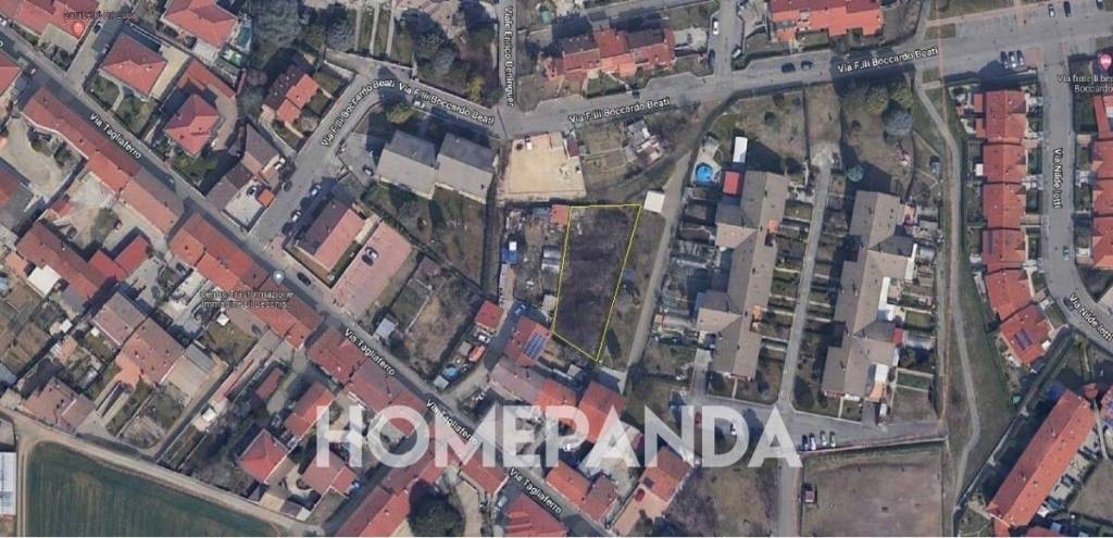 immagine annuncio 7 di 13