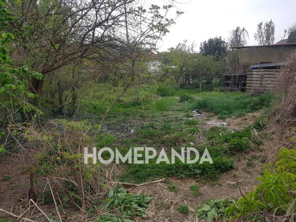 immagine annuncio 10 di 13